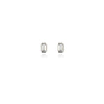 Load image into Gallery viewer, Cachet Elin 0.7cm Pierced Earrings - Platinum

